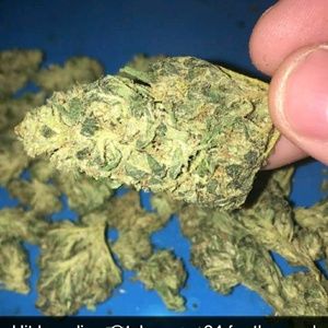 Meet your Posher, Rocky